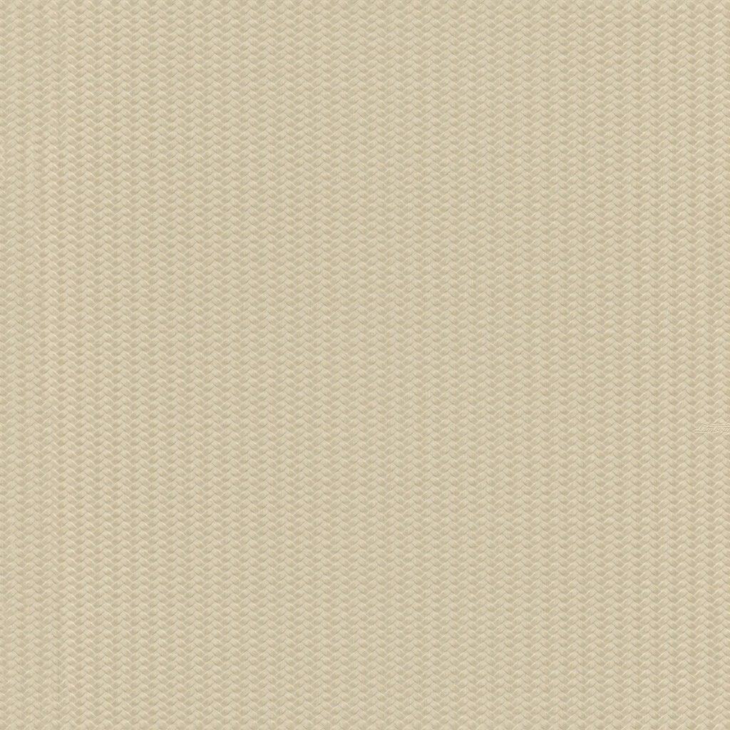 Lamborghini 3 design Z12834