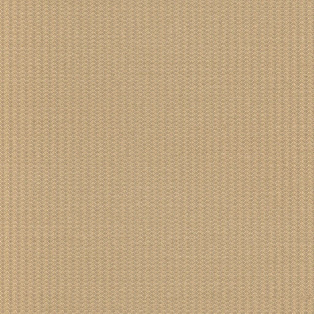 Lamborghini 3; design Z12835