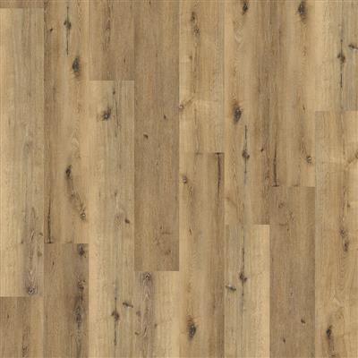 Sydney Harbour Dryback PVC - Sydney harbour dryback dark oak