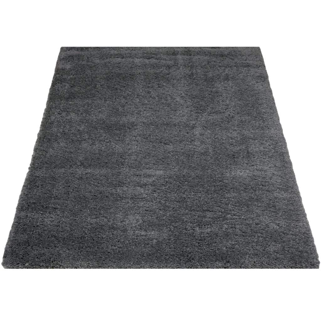 Karpet Rome Grey 240 x 340 cm , Op voorraad: Binnen 1 - 3 werkdagen in huis!
