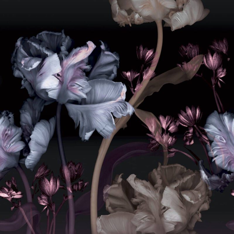 Collectie Fashion for Walls 4 digitaal; design 2540N81