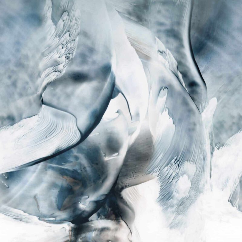 Collectie Fashion for Walls 4 digitaal; design 2550N81