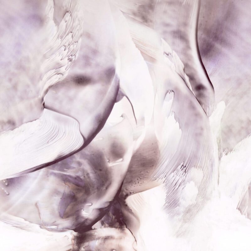 Collectie Fashion for Walls 4 digitaal; design 2550N82