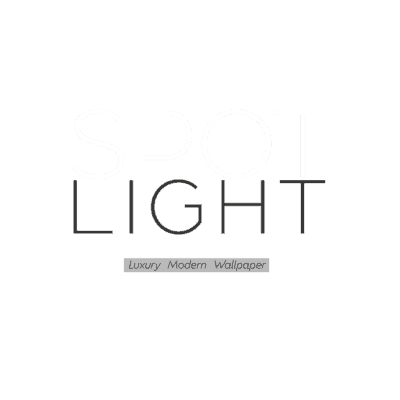 Erismann Spotlight.2