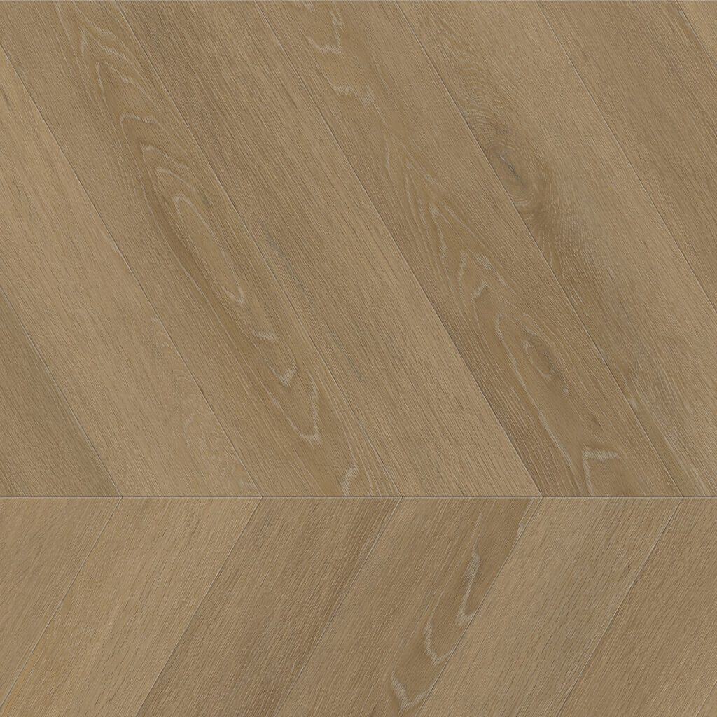 Noble dryback sun kissed