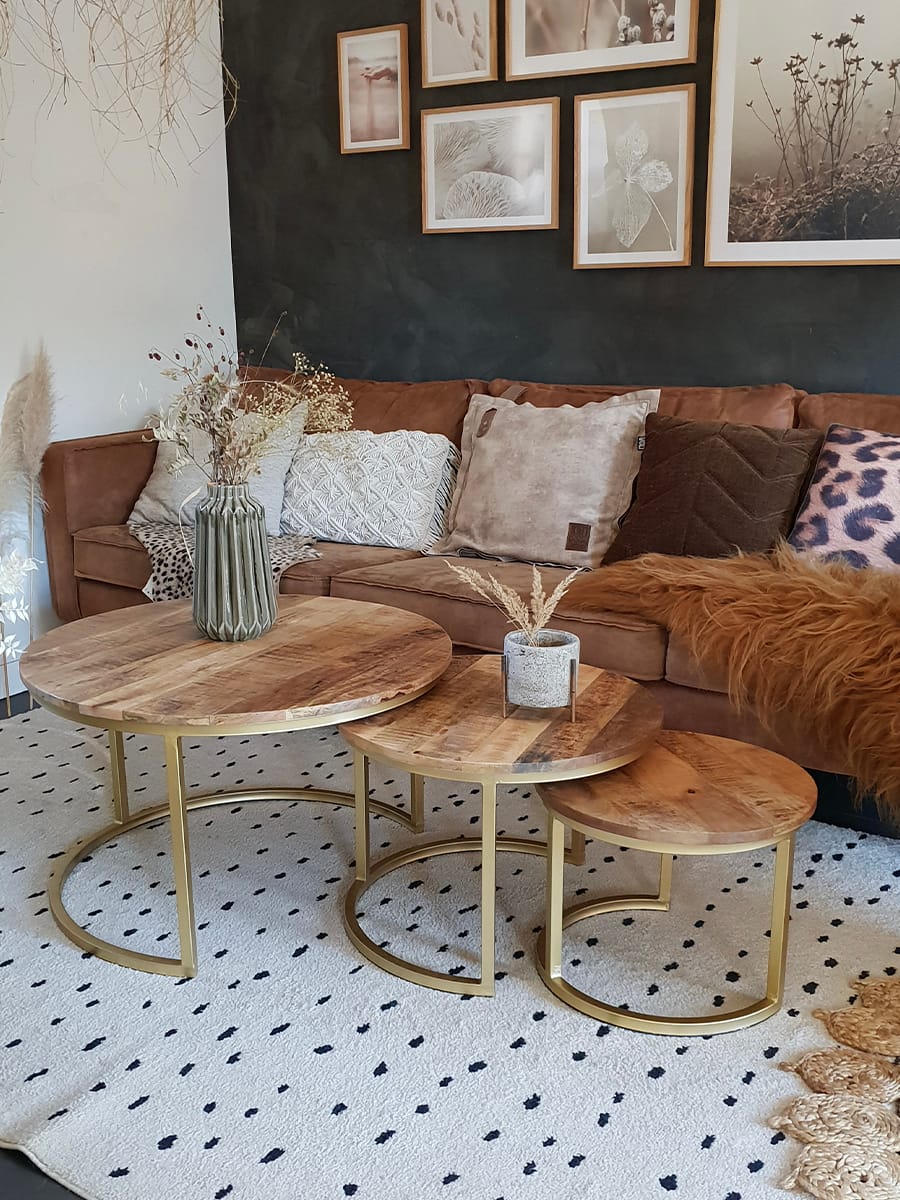 Salontafel Bart Goud - Set van 2 - Afbeelding 3