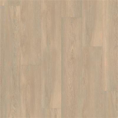 Arnstadt Natuur eiken