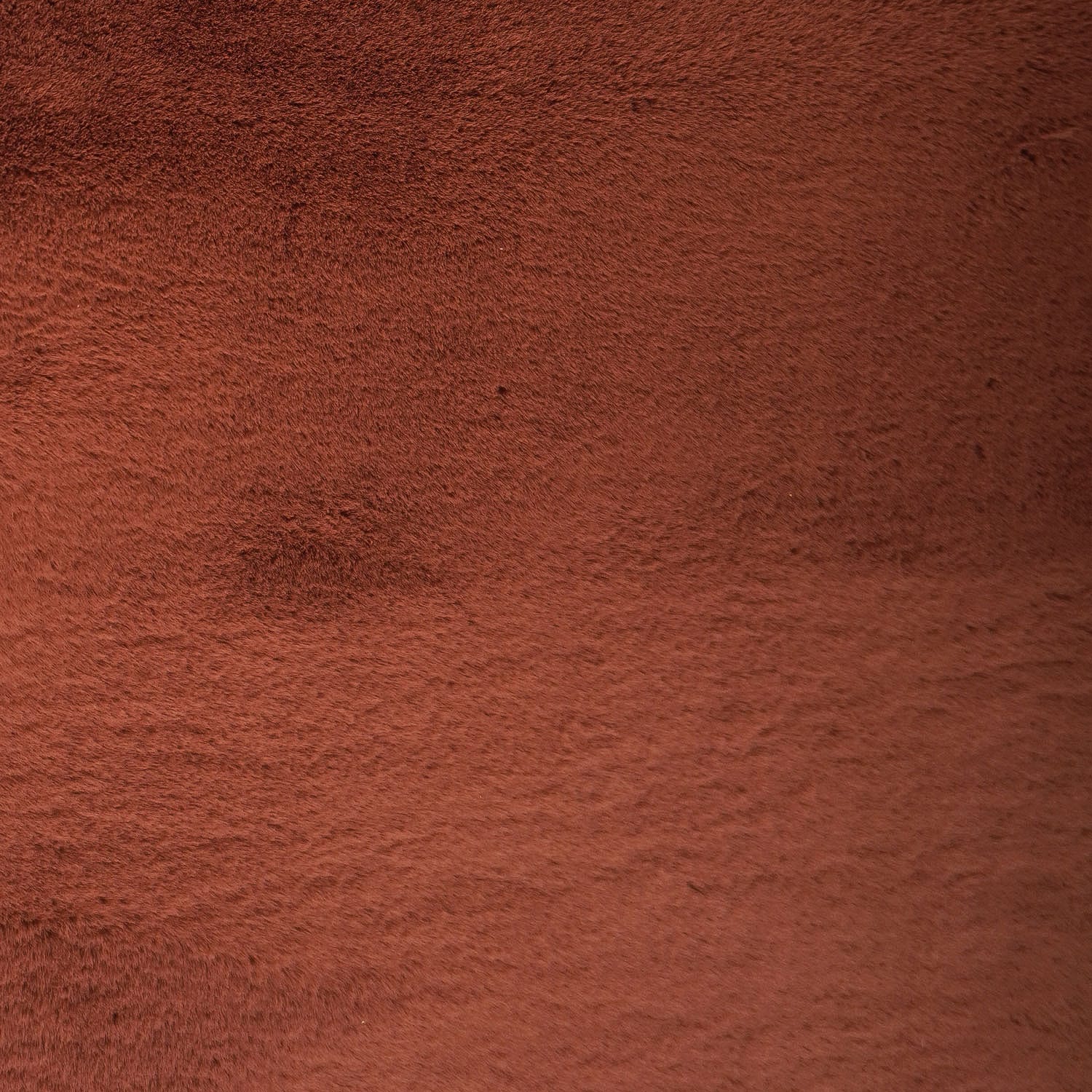 Vloerkleed Velluto Terra - 160 x 230 cm 2 Vloerkleed Velluto Terra - 160 x 230 cm - Afbeelding 2