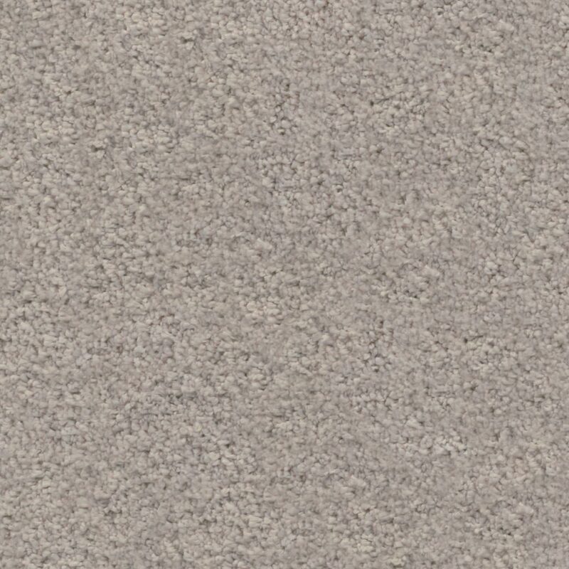 Amoroso greige 0195 | 400cm BlokWoonWereld Tapijt