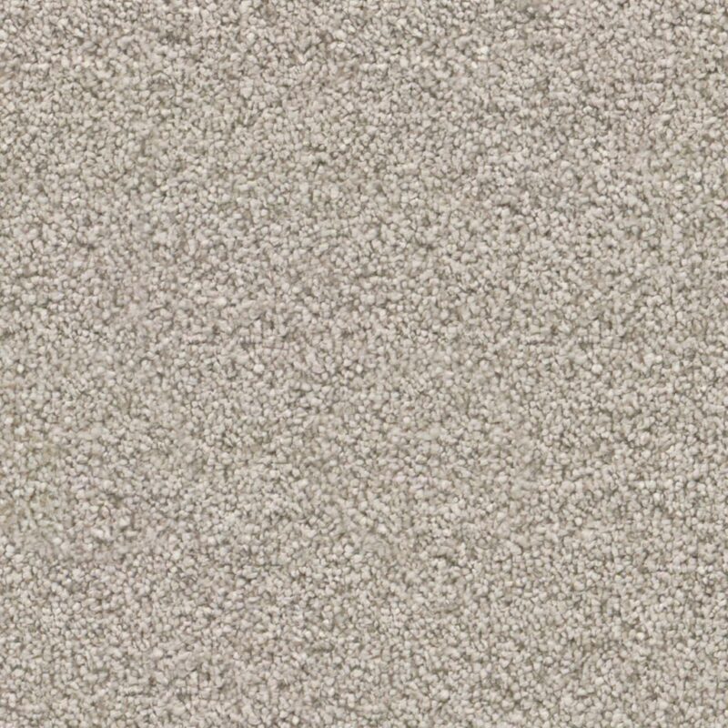 Cleveland beige 0400 | 400cm BlokWoonWereld Tapijt