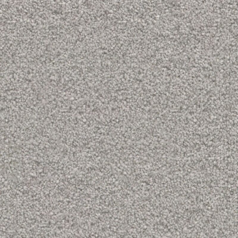 Cleveland lichtgrijs 0165 | 400cm BlokWoonWereld Tapijt