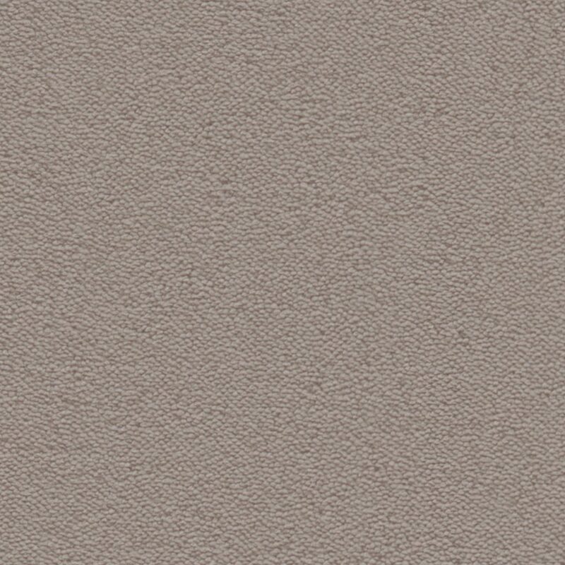 Charlotte warm grijs 0102 | 400 cm BlokWoonWereld Tapijt