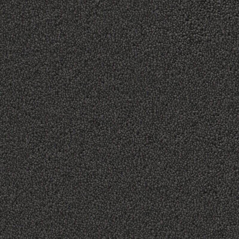 Dallas antraciet 0205 | 400cm BlokWoonWereld Tapijt