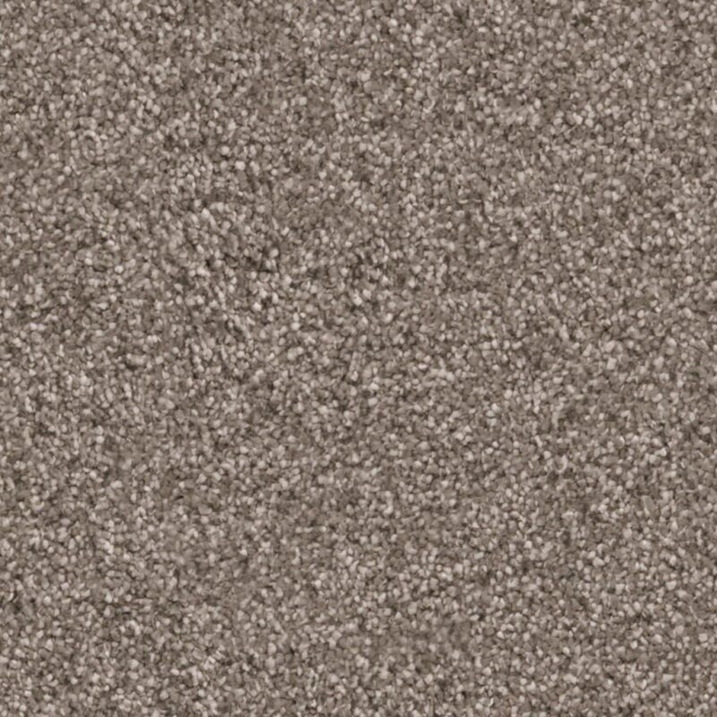 Cleveland taupe 0535 | 400cm BlokWoonWereld Tapijt