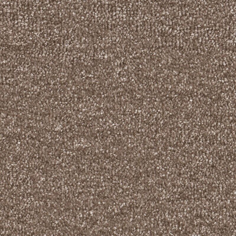Nifty bruin 0600 | 400 cm BlokWoonWereld Tapijt