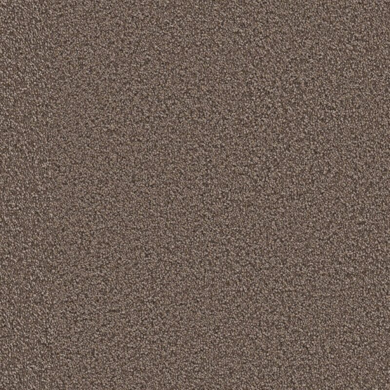 Tide Gallia taupe 0535 | 400 cm BlokWoonWereld Tapijt