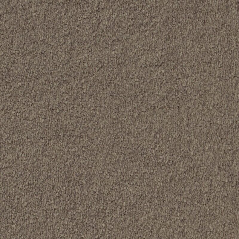 Glendale beigebruin 0485 | 400cm BlokWoonWereld Tapijt