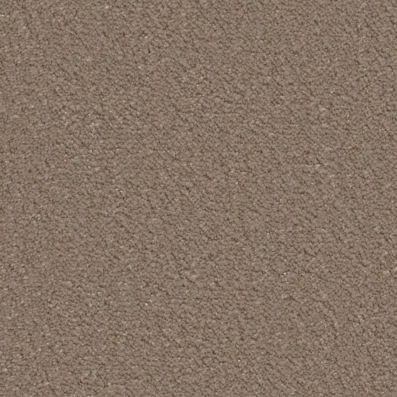 Lodi taupe 0535 | 400cm BlokWoonWereld Tapijt