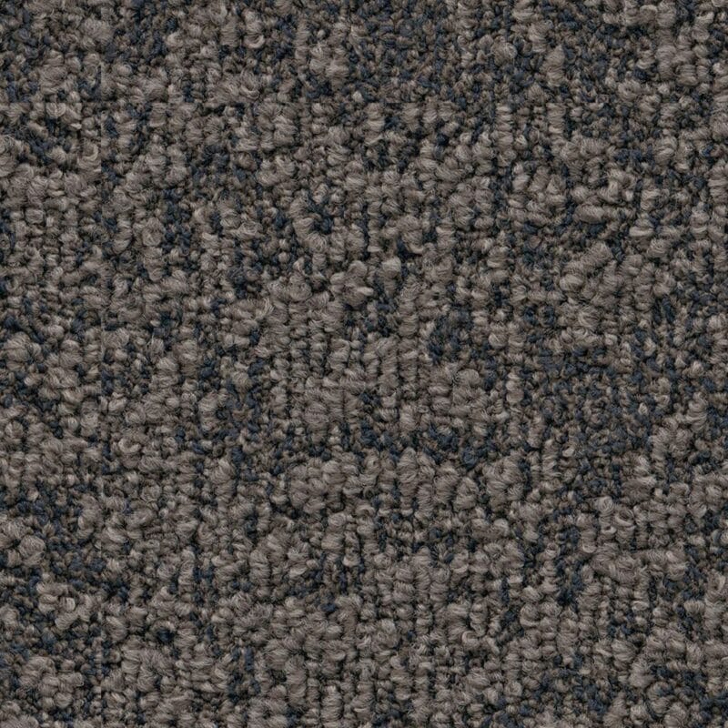 Buffalo taupe 0535 | 400cm BlokWoonWereld Tapijt