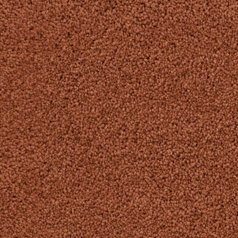 Nevada oranje 0300 | 400 cm BlokWoonWereld Tapijt