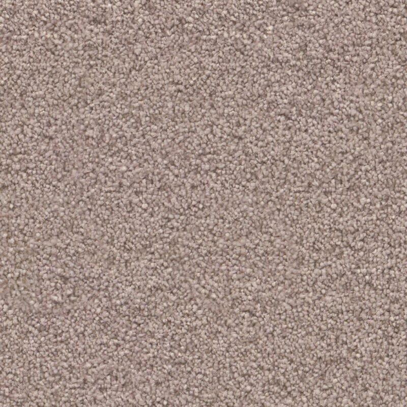 Cleveland lila 0560 | 400cm BlokWoonWereld Tapijt