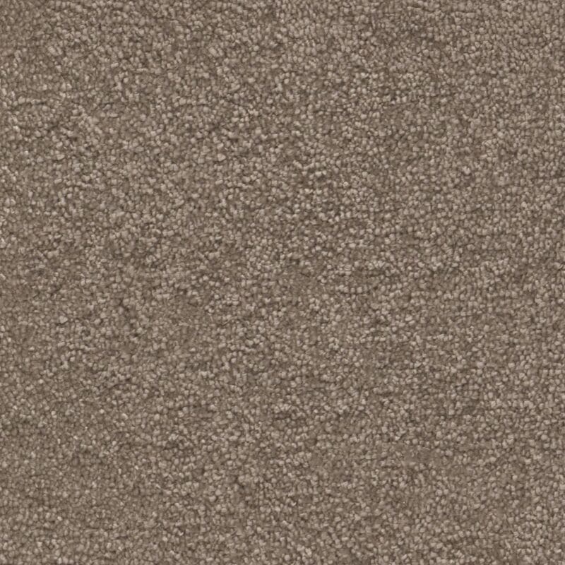 Maryland taupe 0535 | 400 cm BlokWoonWereld Tapijt
