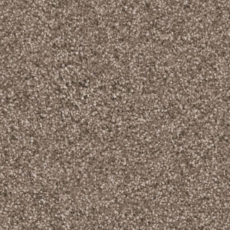 Cleveland lichtbruin 0602 | 400cm BlokWoonWereld Tapijt