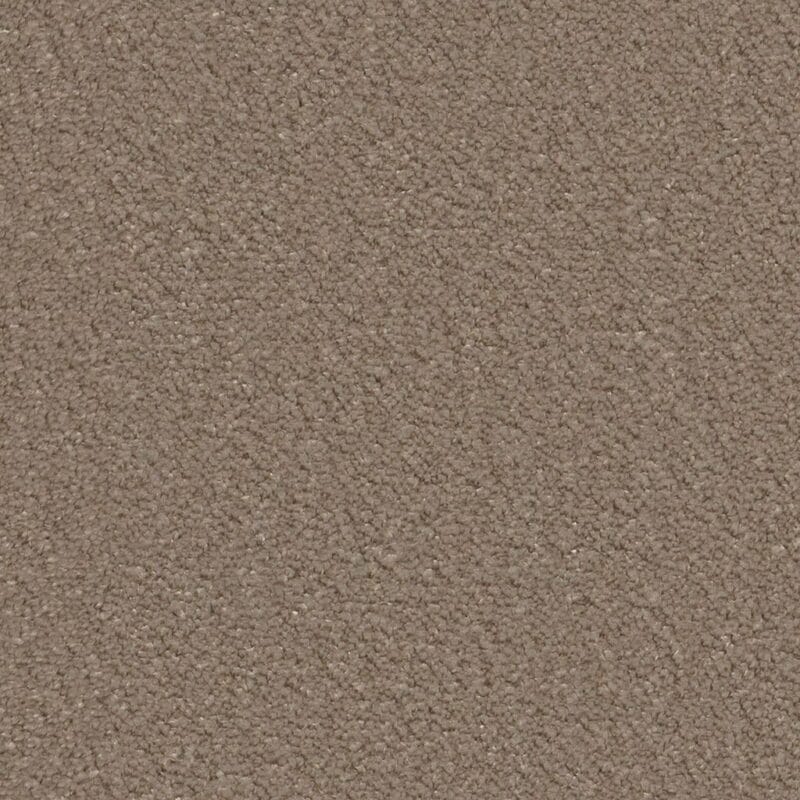 Lodi taupe 0535 | 400cm BlokWoonWereld Tapijt