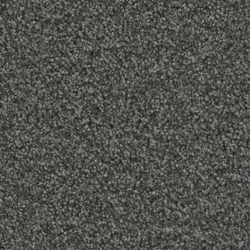 Portland antraciet 0205 | 400cm BlokWoonWereld Tapijt