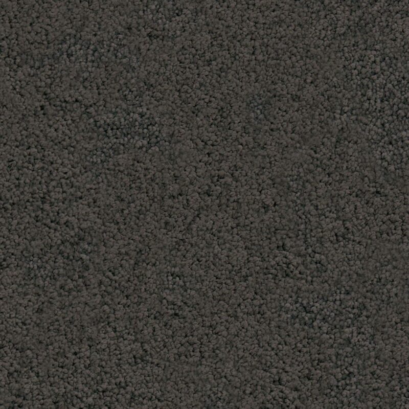 Nevada antraciet 0205 | 400 cm BlokWoonWereld Tapijt