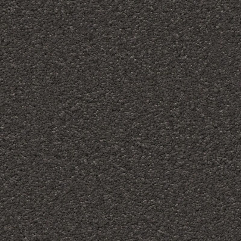 Newport antraciet 0205 | 400 cm BlokWoonWereld Tapijt