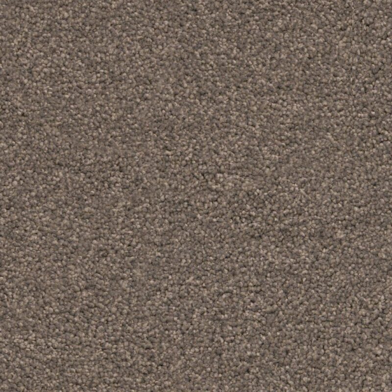 Miami taupe 0535 | 400cm BlokWoonWereld Tapijt