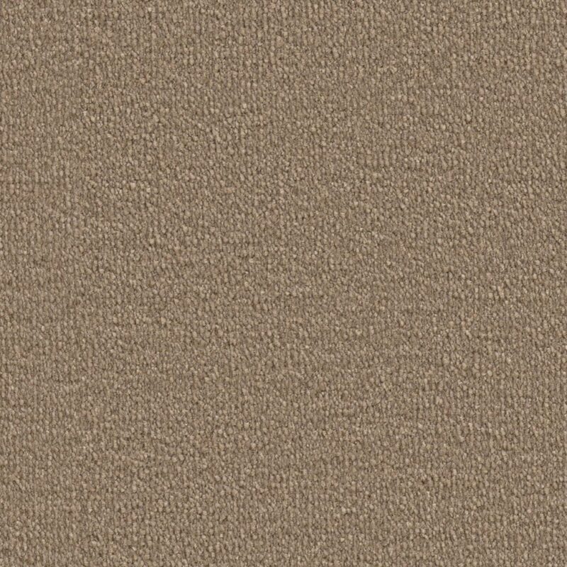 Durham bruin 0600 | 400cm BlokWoonWereld Tapijt