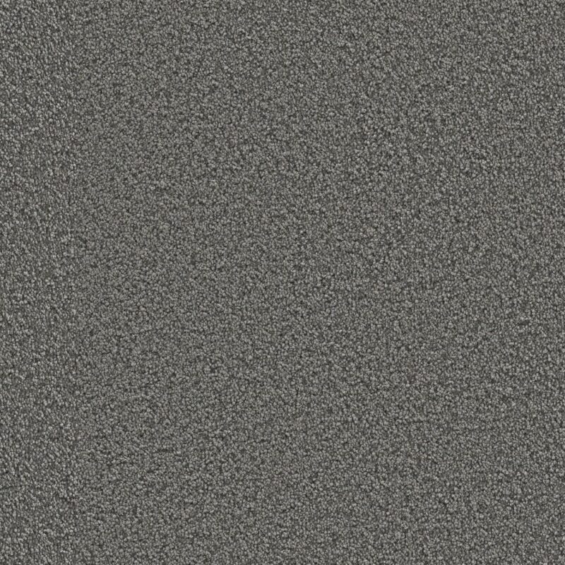 Tide Gallia grijs 0100 | 400 cm BlokWoonWereld Tapijt