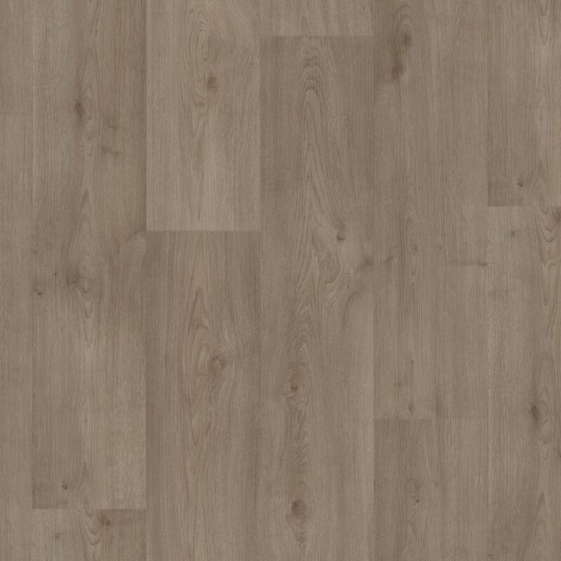 Supreme rustiek eiken donkergrijs 5803 | 400cm BlokWoonWereld Vinyl