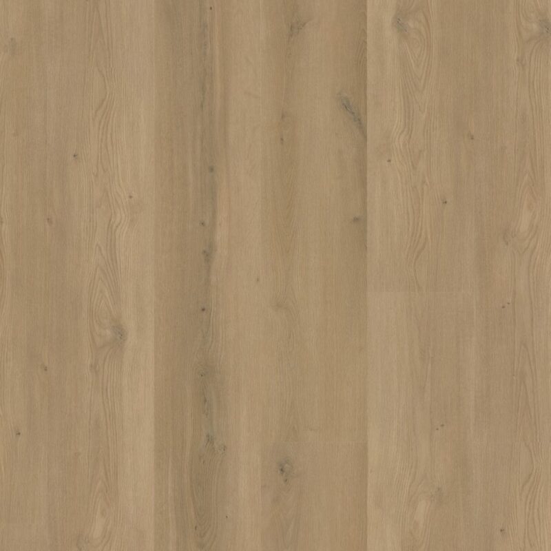 Greenwich dryback warm oak BlokWoonWereld Dryback PVC