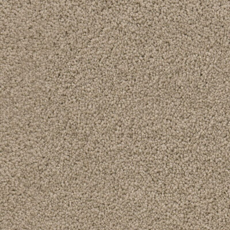 Nevada beige 0400 | 400 cm BlokWoonWereld Tapijt