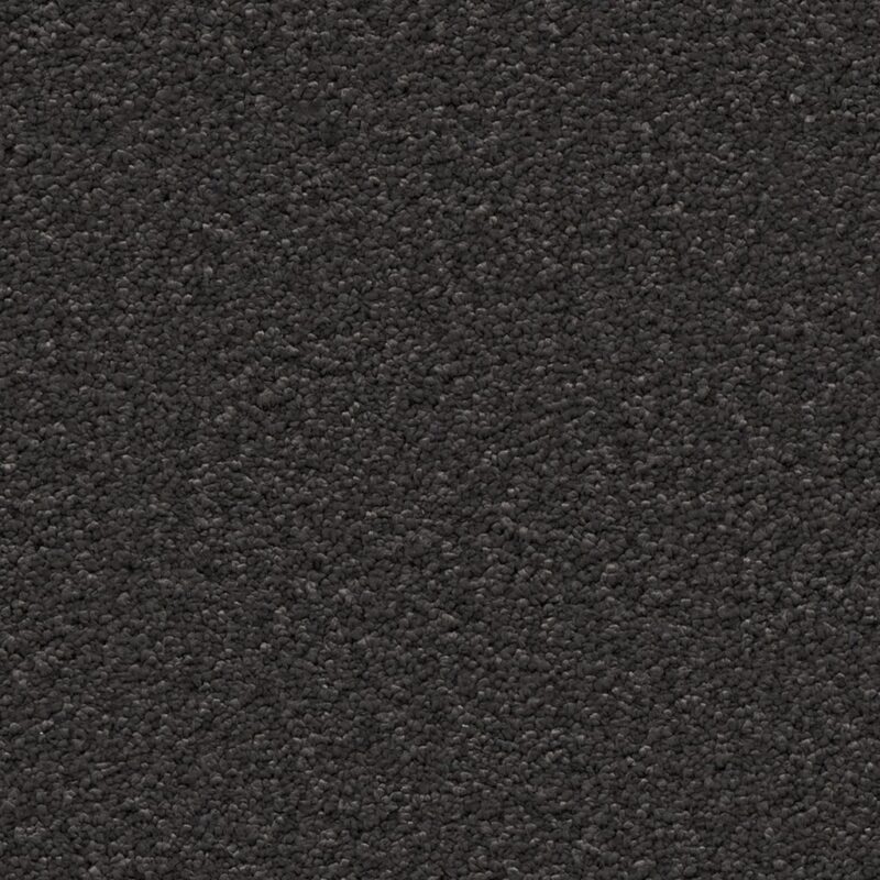 Newport zwart 0200 | 400 cm BlokWoonWereld Tapijt