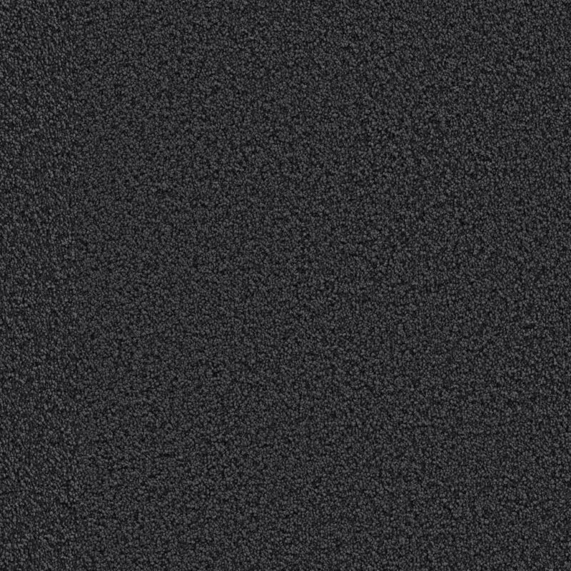 Tide Gallia antraciet 0205 | 400 cm BlokWoonWereld Tapijt