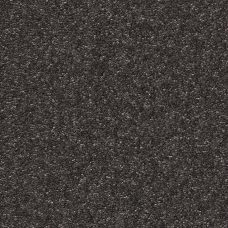 Columbus antraciet 0205 | 400cm BlokWoonWereld Tapijt