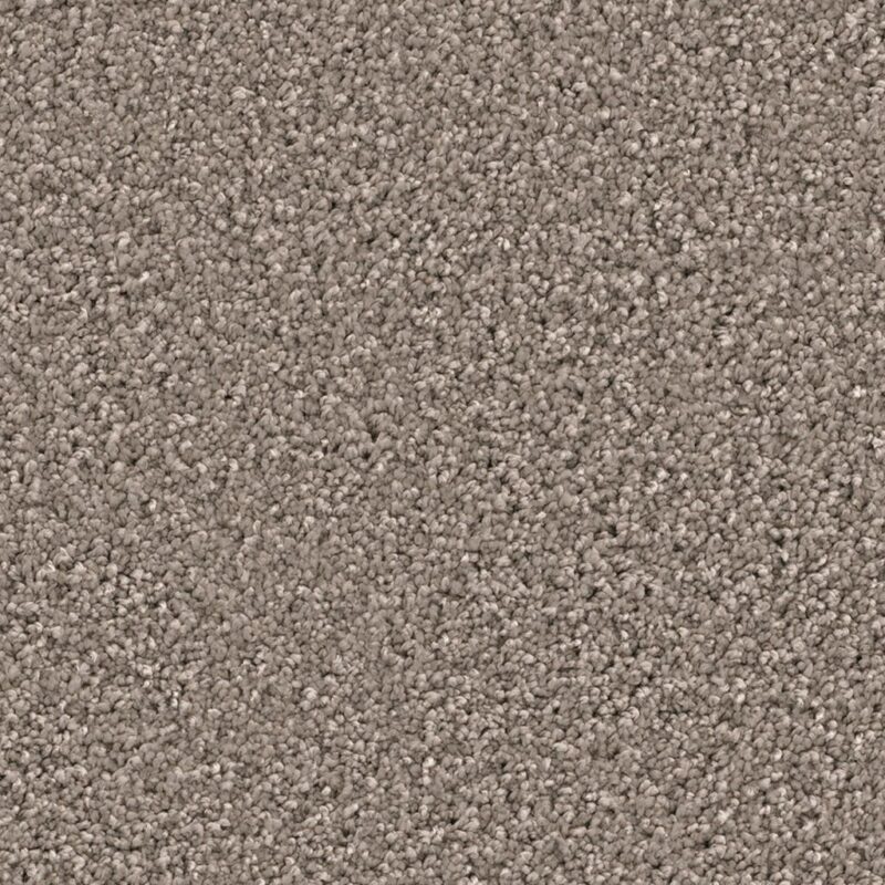 Newberry greige 0195 | 400 cm BlokWoonWereld Tapijt