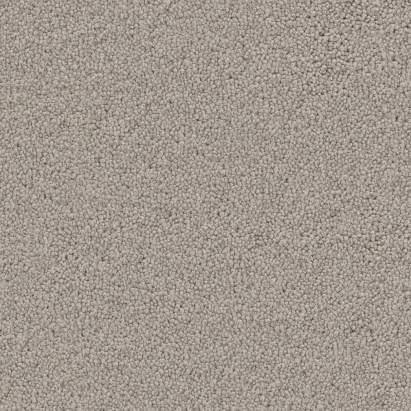 Dallas beige 0400 | 400cm BlokWoonWereld Tapijt