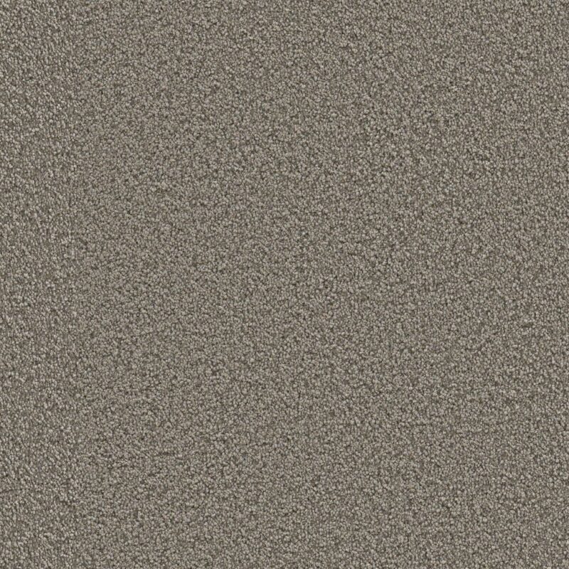 Tide Gallia warmgrijs 0102 | 400 cm BlokWoonWereld Tapijt