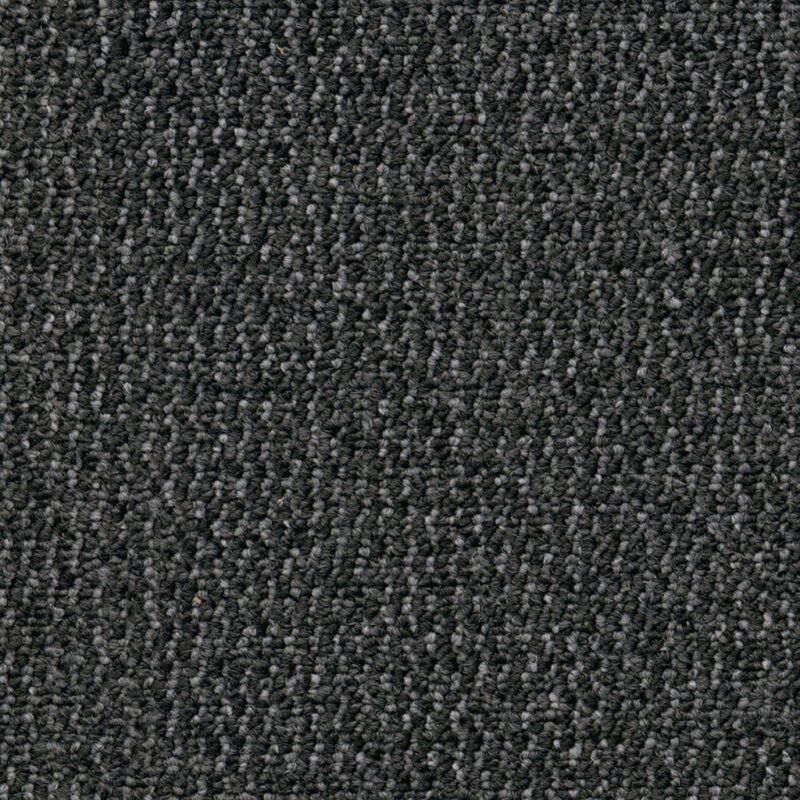 Odessa antraciet 0205 | 400cm