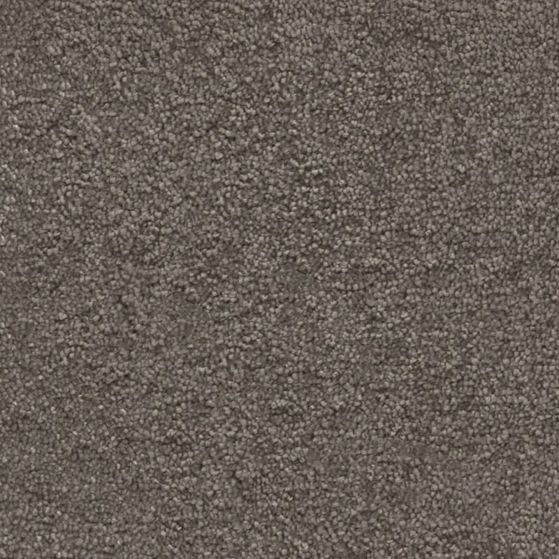 Maryland greige 0195 | 400 cm BlokWoonWereld Tapijt