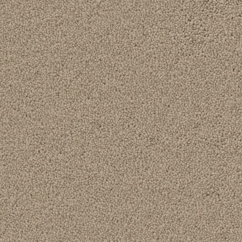 Dallas zand 0410 | 400cm BlokWoonWereld Tapijt