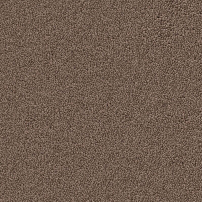 Dallas bruin 0600 | 400cm BlokWoonWereld Tapijt