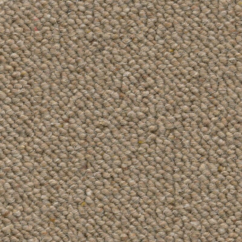 Ellington bruin 0600 | 400cm BlokWoonWereld Tapijt