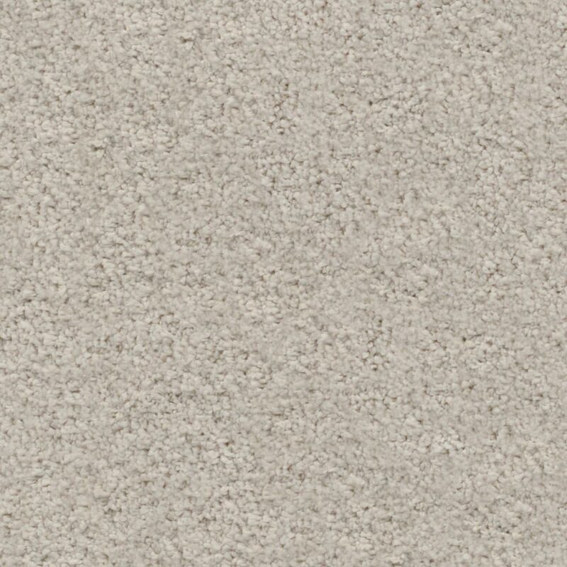 Amoroso grijsbruin 0119 | 400cm BlokWoonWereld Tapijt