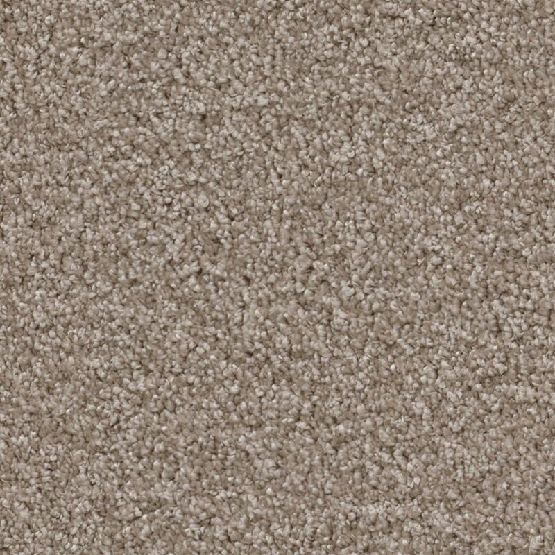 Portland greige 0195 | 400cm BlokWoonWereld Tapijt